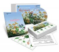 Комбинированное наглядное пособие «Растения»