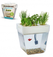 Набор для выращивания растений и ухода за рыбкой "Акваферма"
